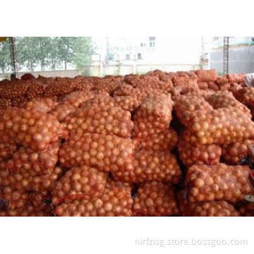 Mesh Bagged Natural Fresh Onion Including Vitamins And Mine